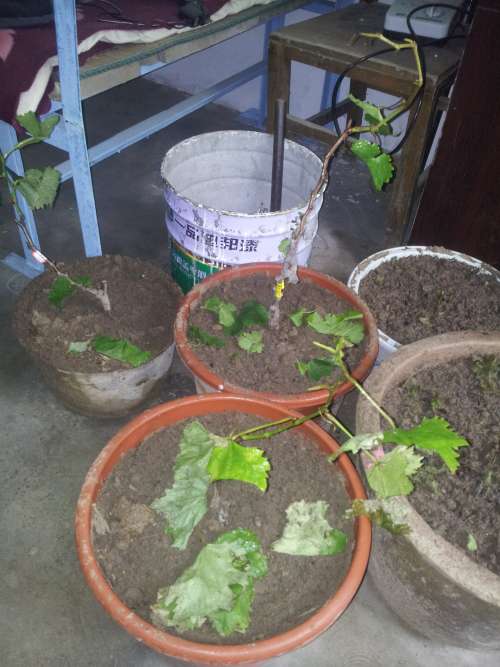 20140521_165338.jpg