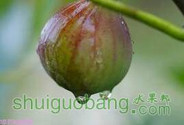 QQ��ͼ20140522202521.jpg