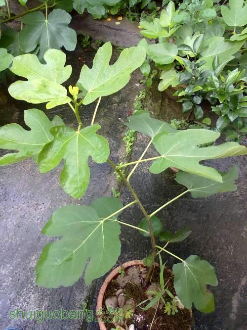 201405243255.jpg
