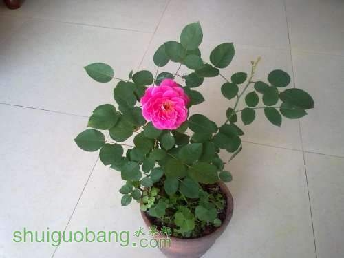 201405023190.jpg