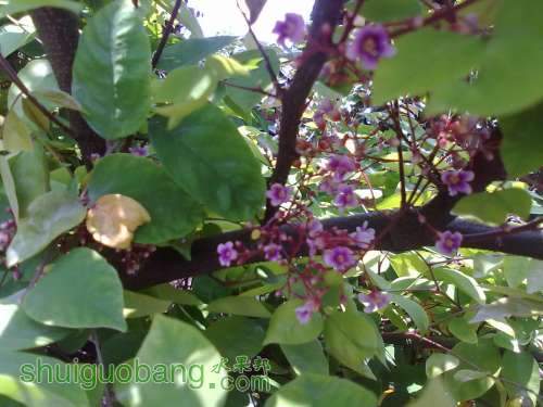 201405023195.jpg