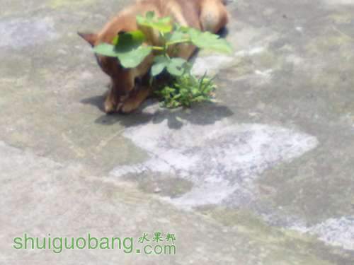 201405033208.jpg