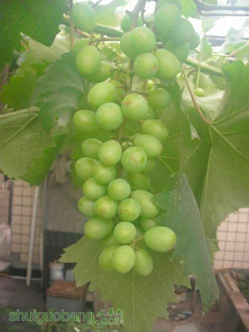 GEDC0012.JPG