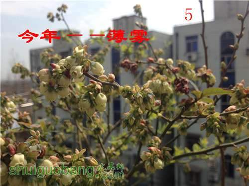 2014-03-24 124616.jpg