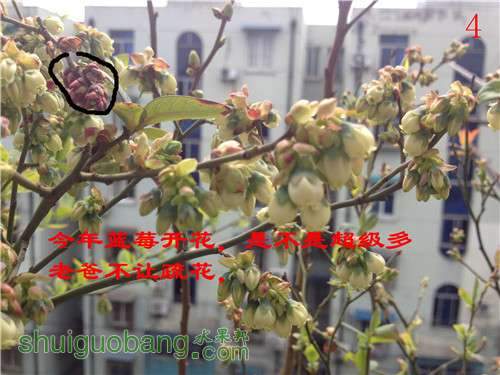 2014-03-24 123828.jpg