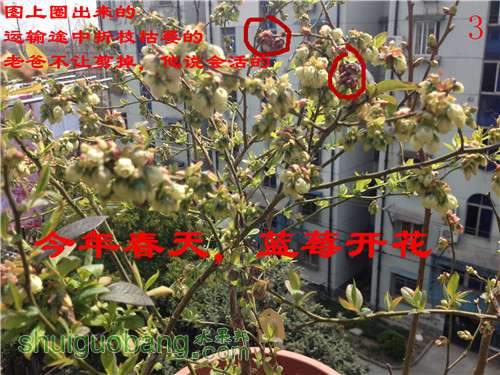 2014-03-24 122005.jpg