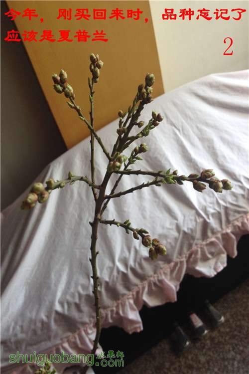 2014-03-16 105320.jpg