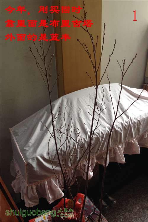 2014-02-19 103930.jpg