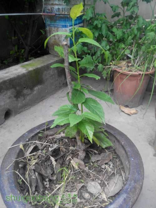 QQͼƬ20140524202844.jpg