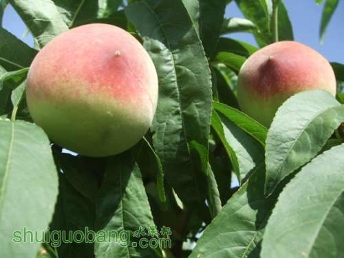 5��24����Ե��� 006.jpg