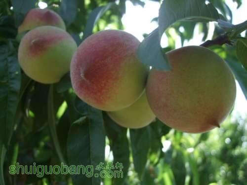 5��24����Ե��� 007.jpg