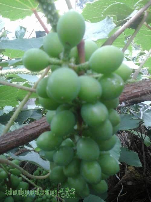 20140518_155234.jpg