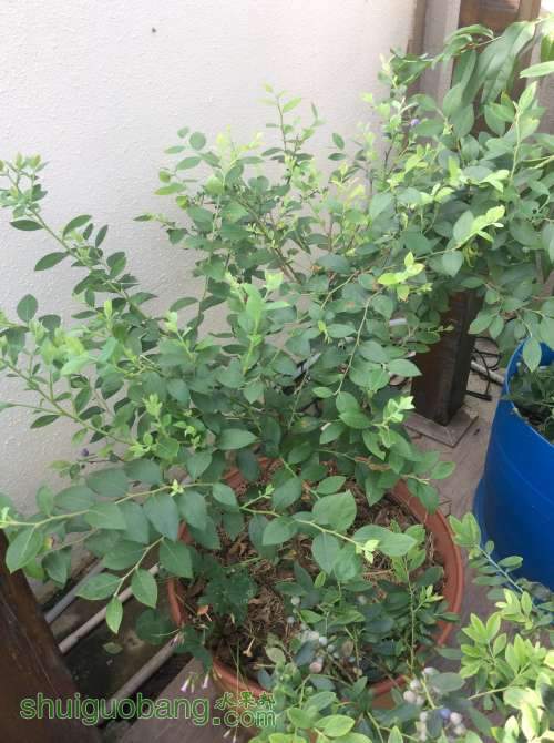 2014-05-24 080140.jpg