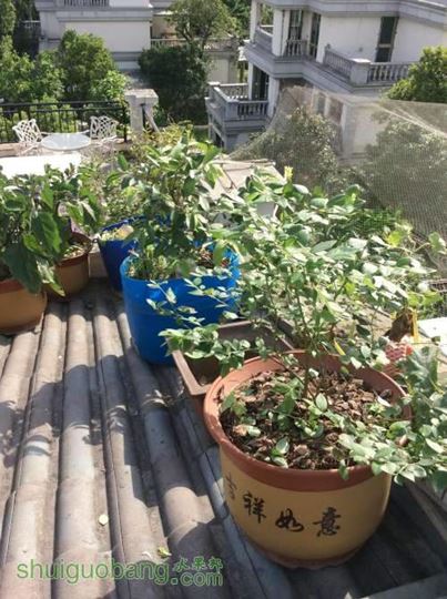 2014-05-24 082210.jpg