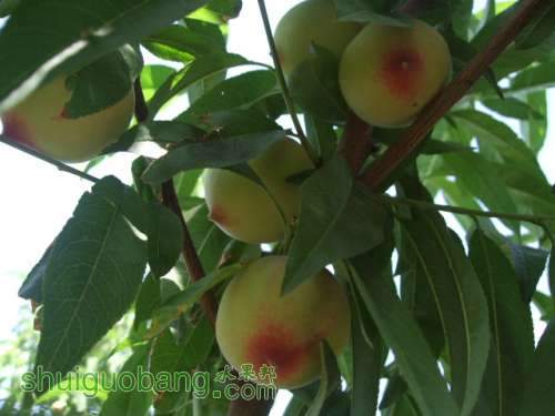 5��24����Ե��� 009.jpg