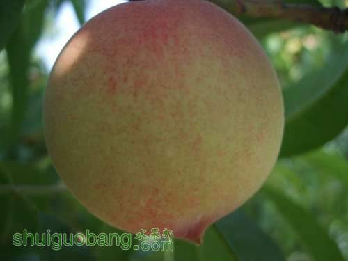 5��24����Ե��� 013.jpg