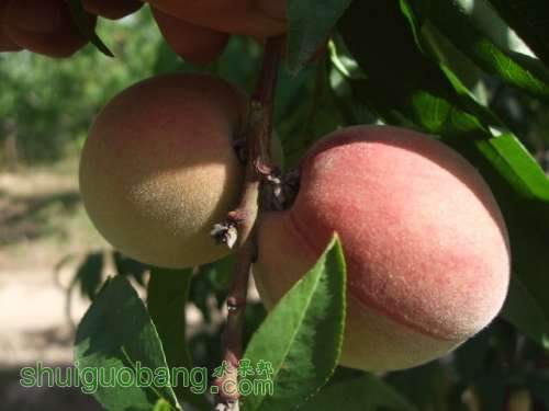 5��24����Ե��� 016.jpg