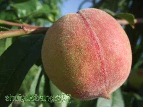 5��24����Ե��� 022.jpg