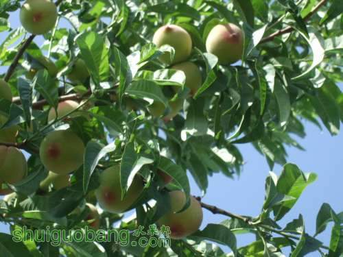 5��24����Ե��� 019.jpg