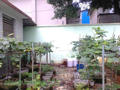 Ƭ0875.jpg