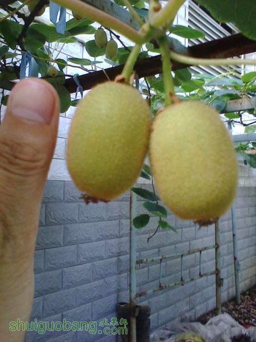 Ƭ0904.jpg