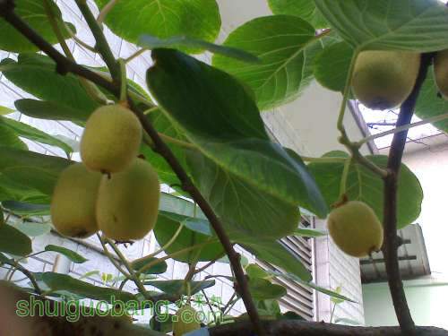 Ƭ0905.jpg