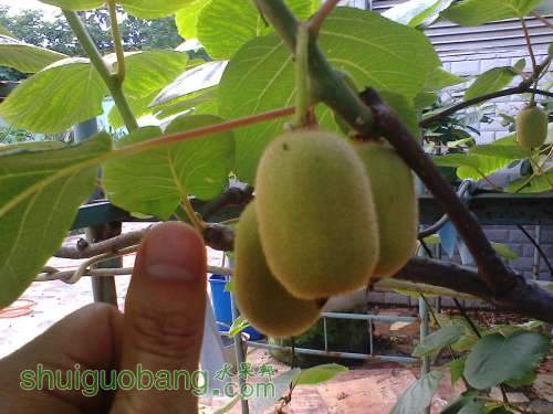 Ƭ0907.jpg