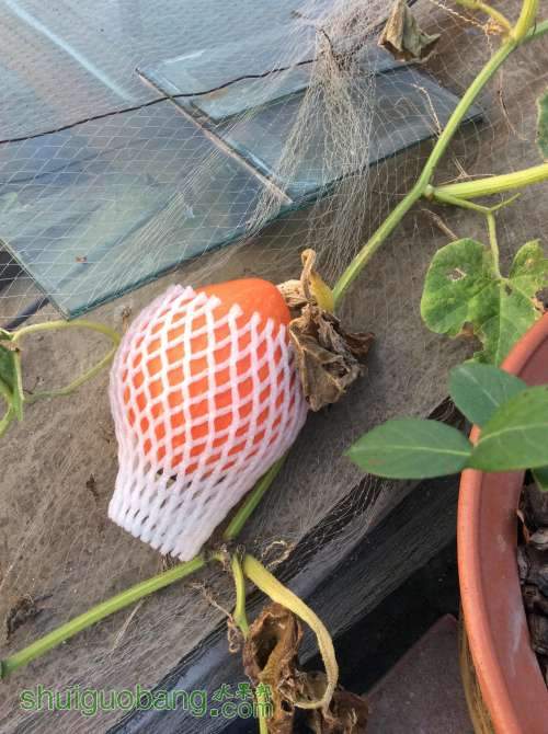 2014-05-27 061608.jpg