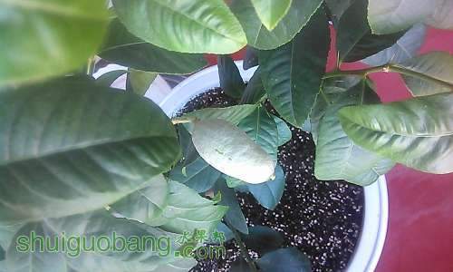 IMG_20140517_165254.jpg