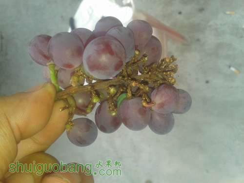 20140528_165736.jpg