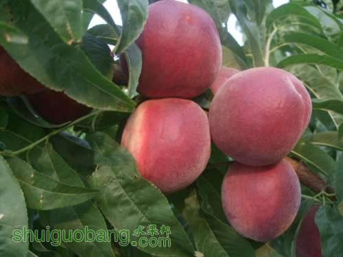 2012.6��17�ռ������� 001.jpg