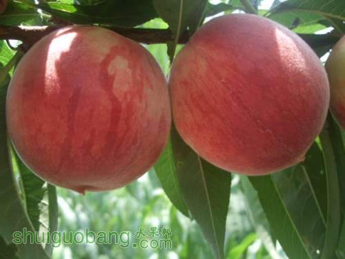 ��Ե���2012.6��6�� 001.jpg