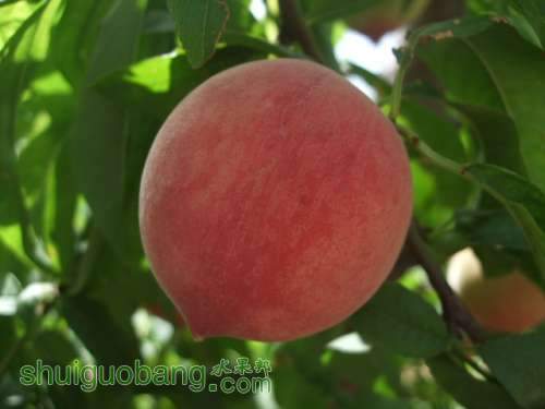 5��29����Ե��� 002.jpg