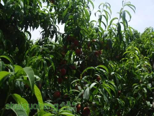 5��29����Ե��� 003.jpg