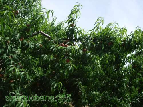 5��29����Ե��� 004.jpg