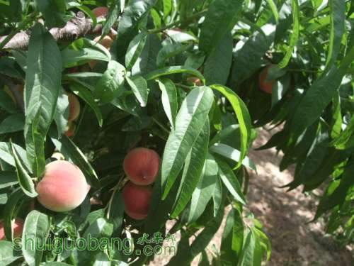 5��29����Ե��� 005.jpg