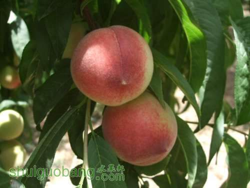 5��29����Ե��� 006.jpg