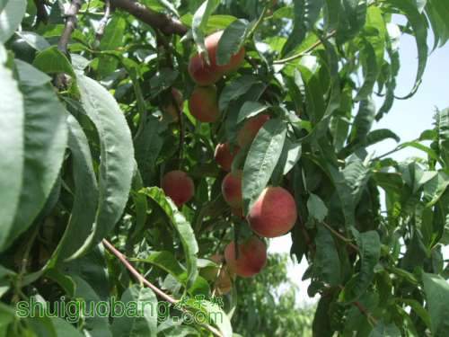 5��29����Ե��� 007.jpg