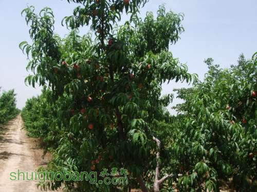 5��29����Ե��� 008.jpg