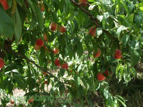 5��29����Ե��� 001.jpg