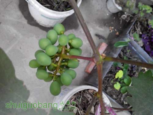 QQͼƬ20140529211759.jpg