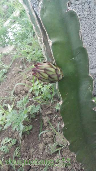 IMG_20140510_075431.jpg