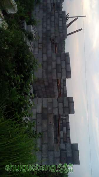 IMG_20140522_190416.jpg