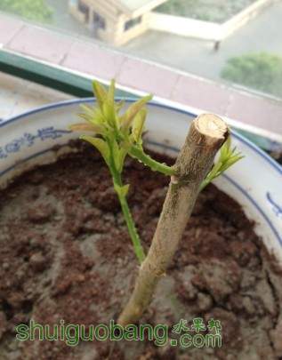 QQͼƬ20140530112318.jpg