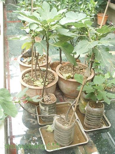 PIC_1709.JPG