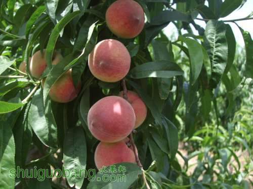 5��29����Ե��� 009.jpg