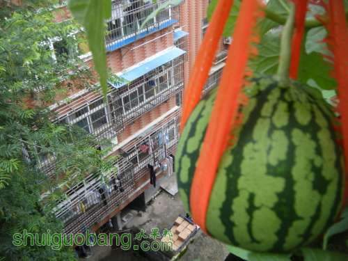 DSCF2608.JPG