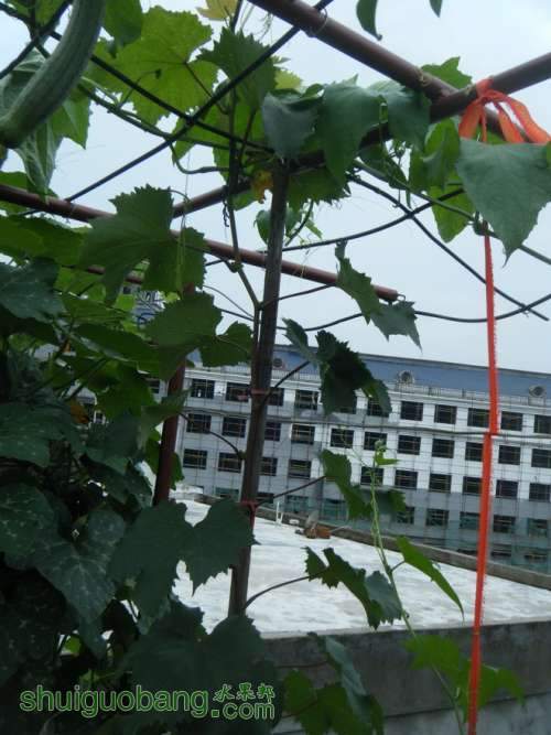DSCF2597.JPG