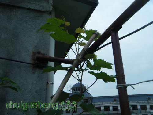 DSCF2612.JPG