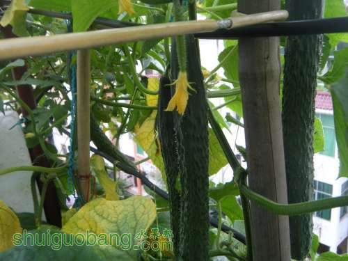 DSCF2618.JPG